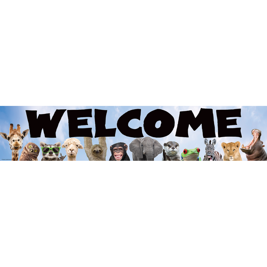 Teacher Created Resources Go Wild Animals Welcome Banner (TCR 6836)