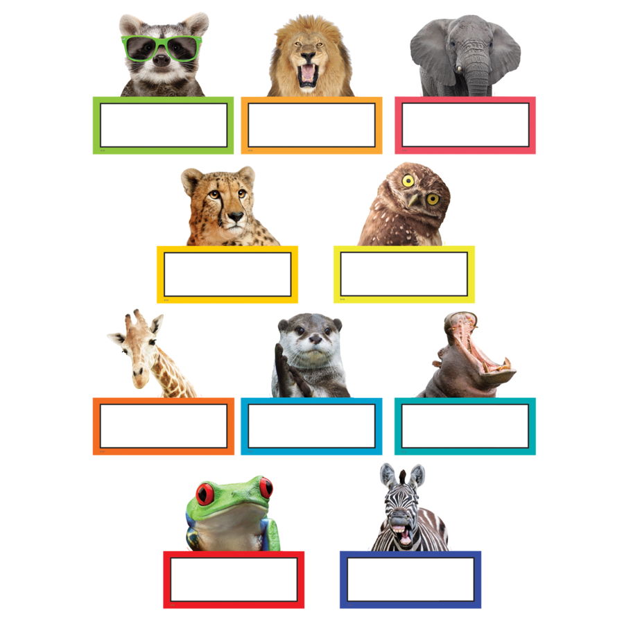 Teacher Created Resources Go Wild Animals  6" Accents, Pack of 30  (TCR 6854) (Copy)