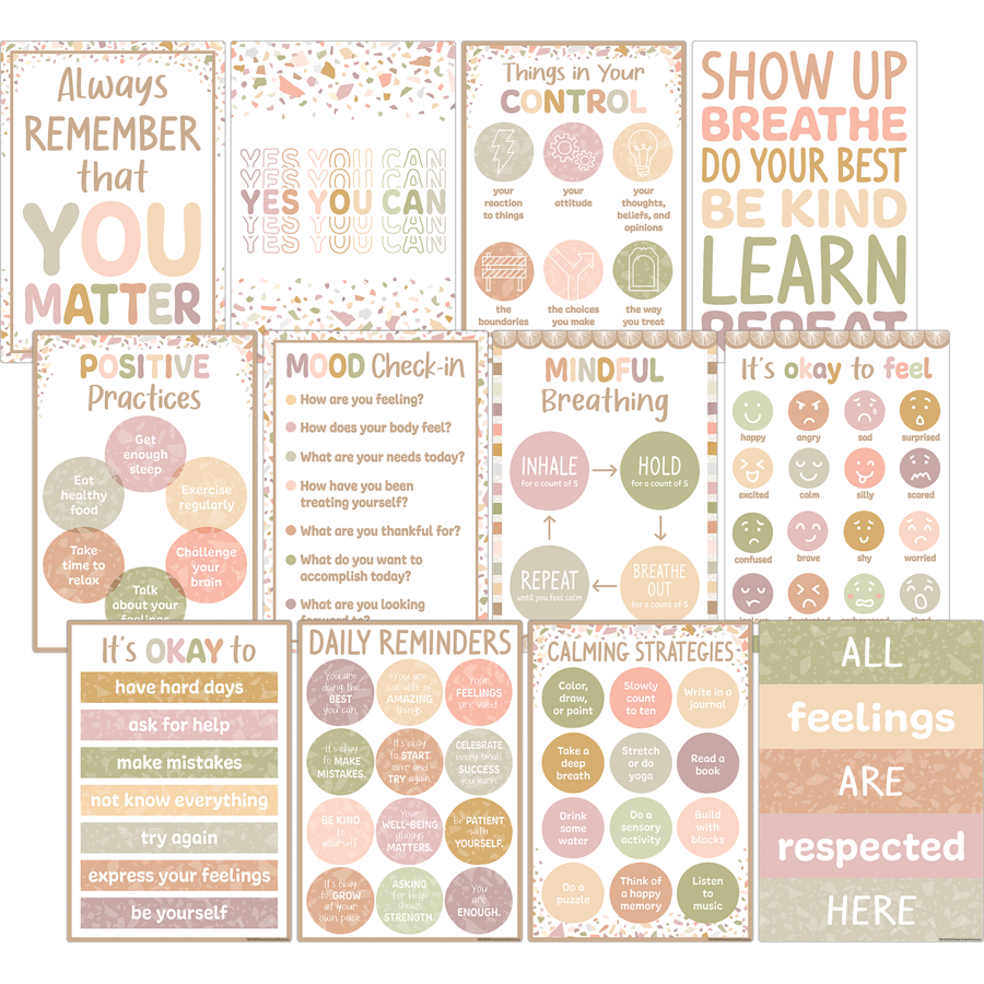 Teacher Created Resources Terrazzo Tones Positive Practices Small Poster Pack (TCR 7232)