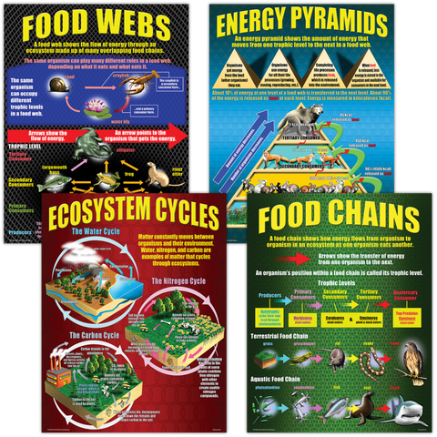 Teacher Created Ecosystems Poster Set (TCRP 059)