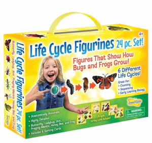 Insect Lore Life Cycle Figurines, 24 Piece Set (ILP 2205)