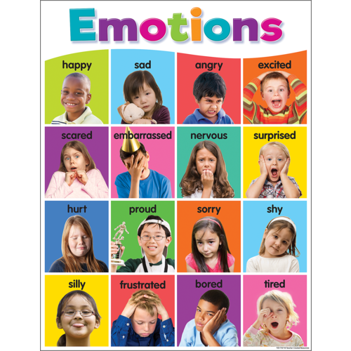 Teacher Created Colorful Emotions Chart (TCR 7107) – Ramrock School ...